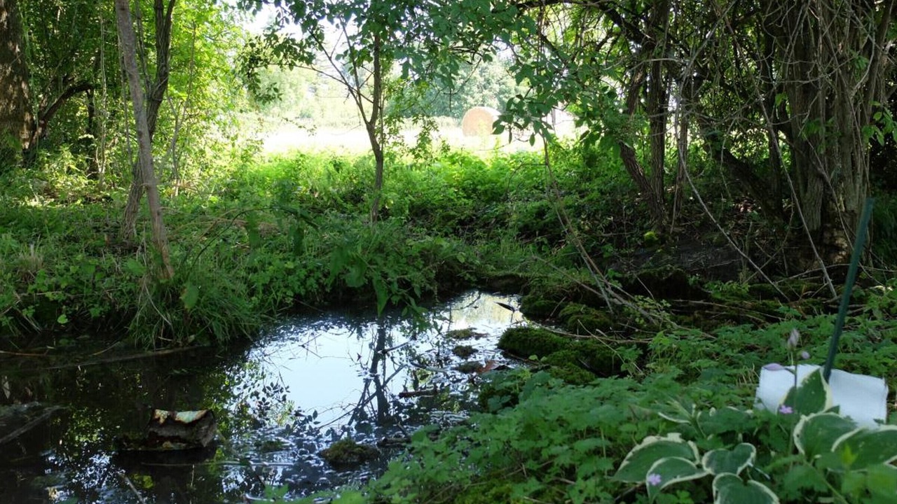 Photo of Outdoor in Cindre