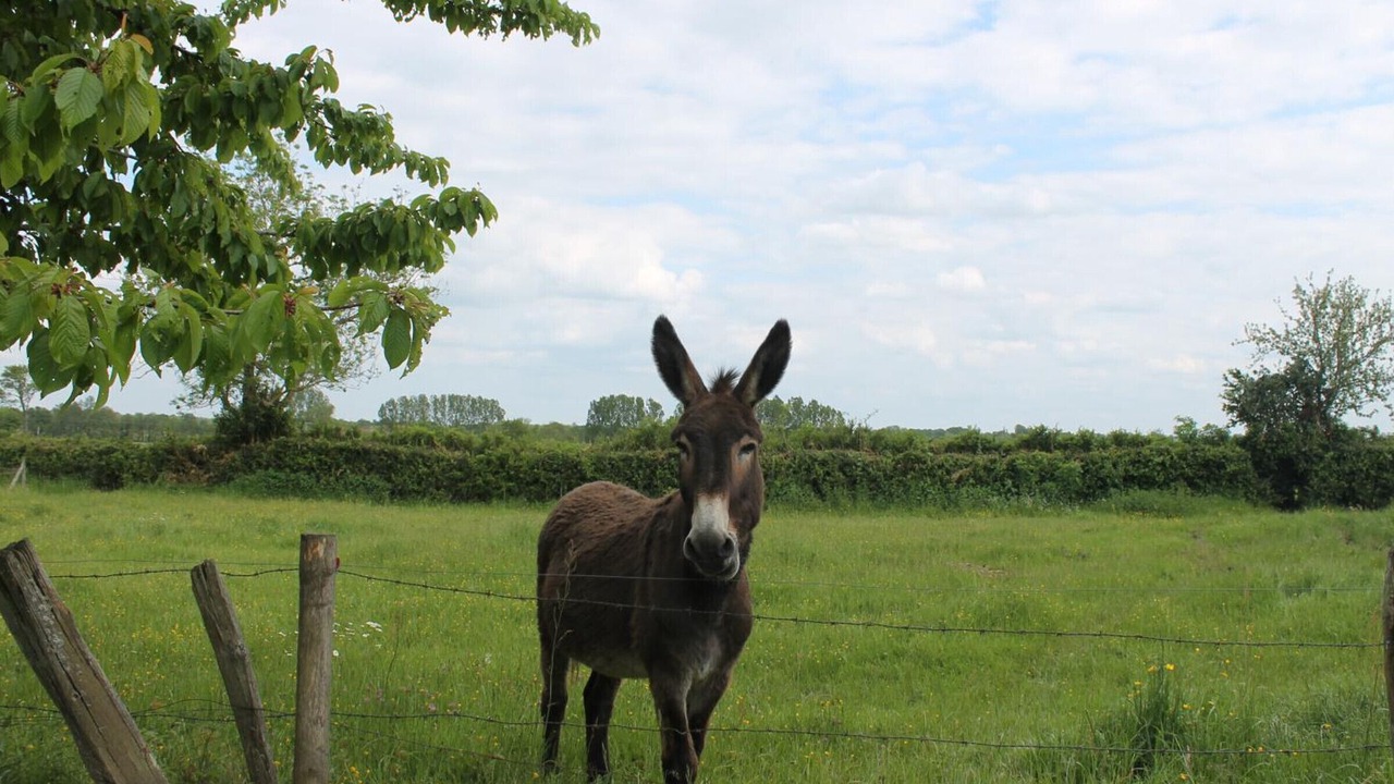 Photo of Outdoor in Maillet