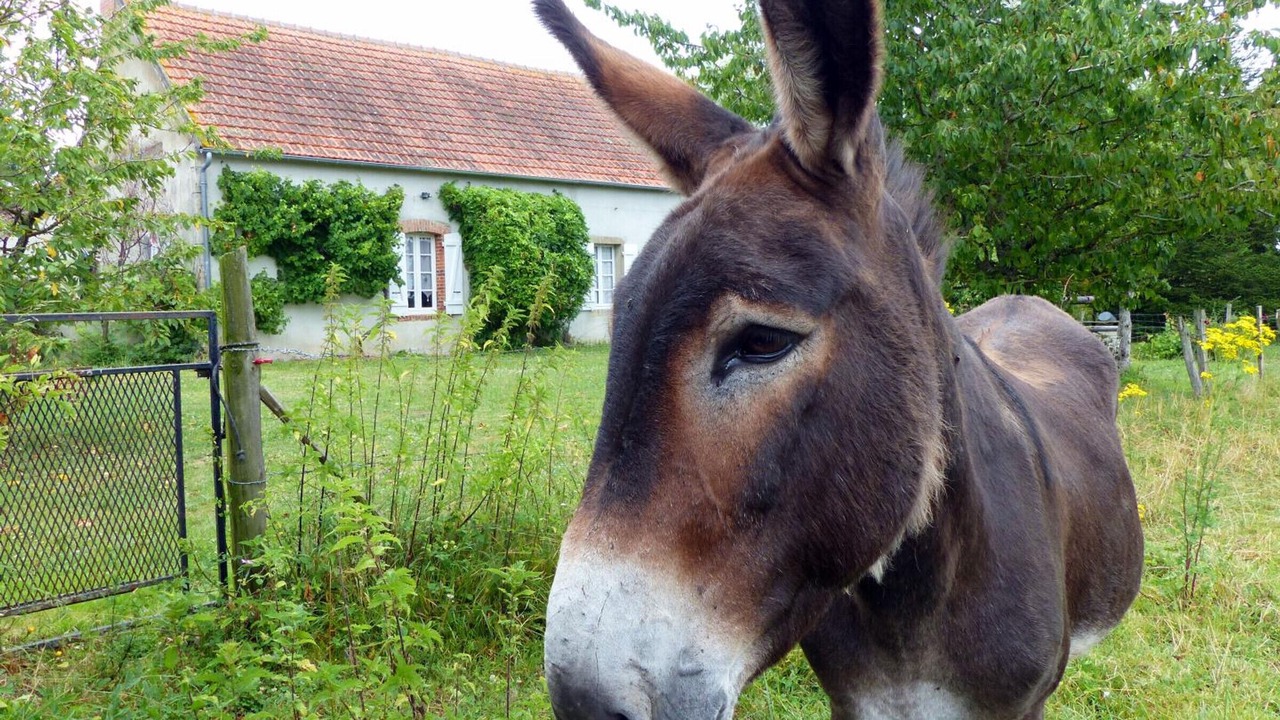 Photo of Outdoor in Maillet