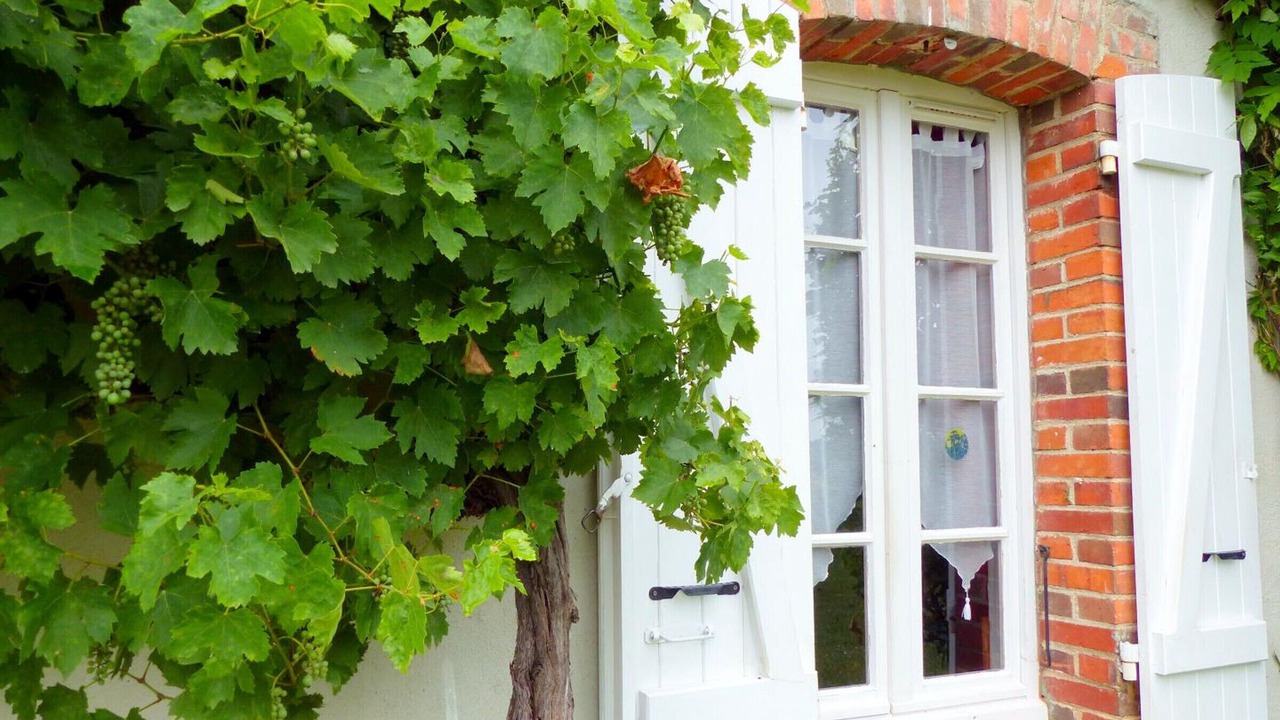 Photo of Outdoor in Maillet