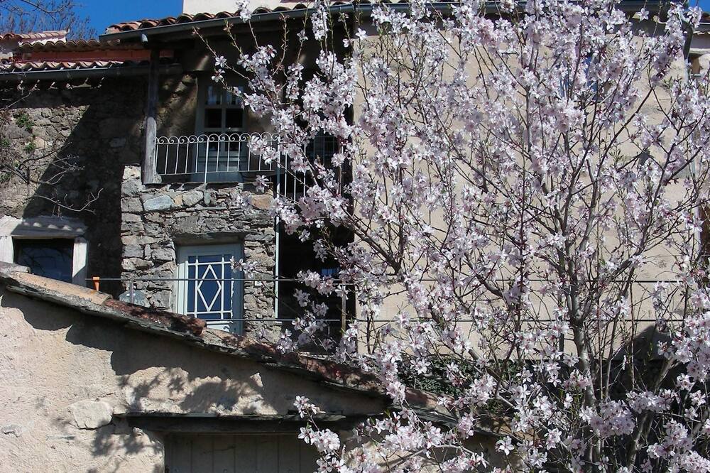 Photo of Outdoor in Babeau-Bouldoux