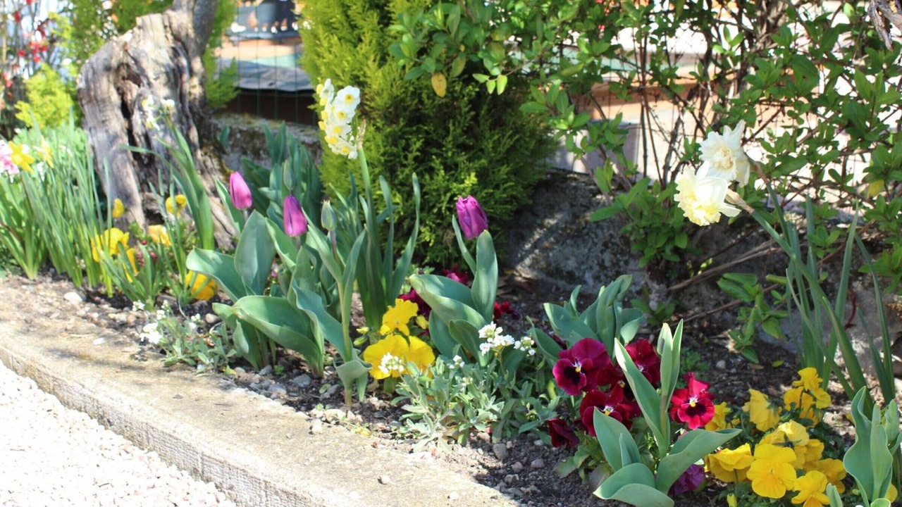 Photo of Outdoor in Barberier