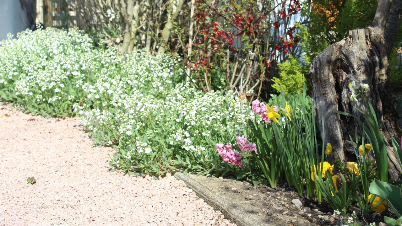 Photo of Outdoor in Barberier