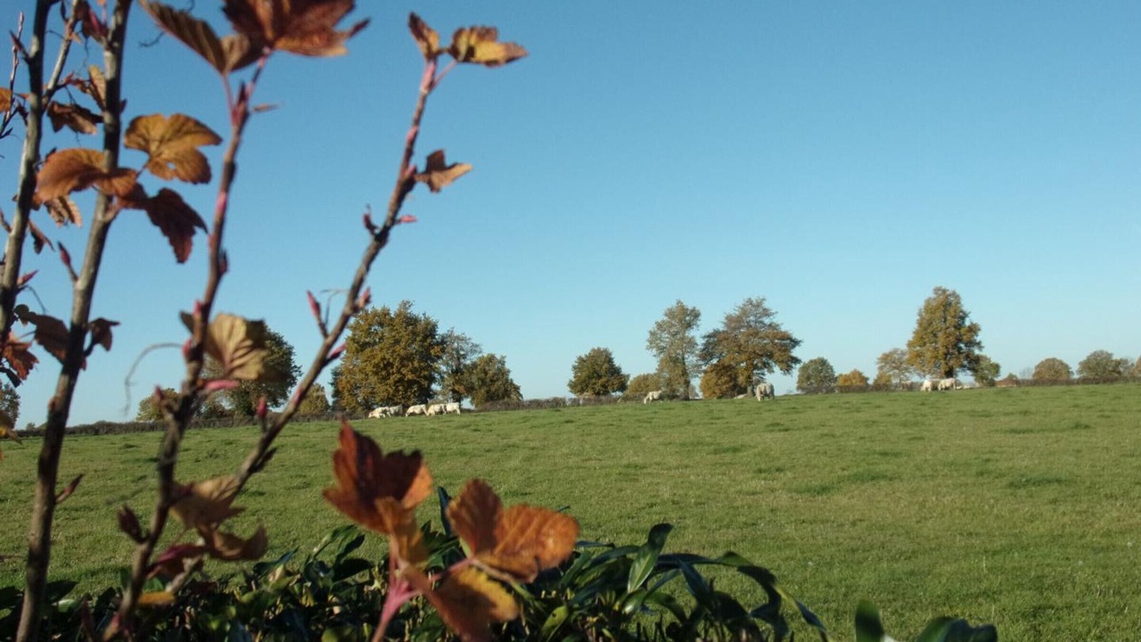 Photo of Outdoor in Verneix