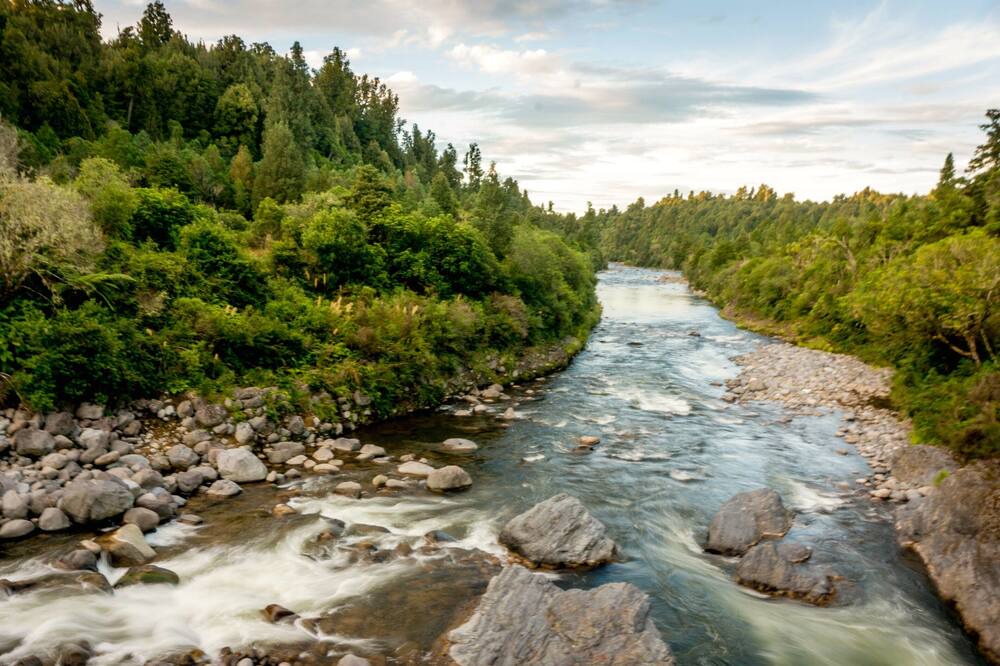 Photo of Others in Owhango