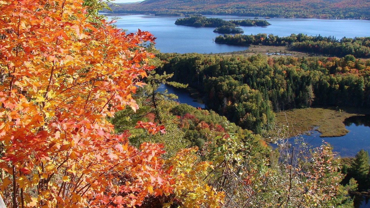 Photo of Outdoor in Notre-Dame-de-la-Merci