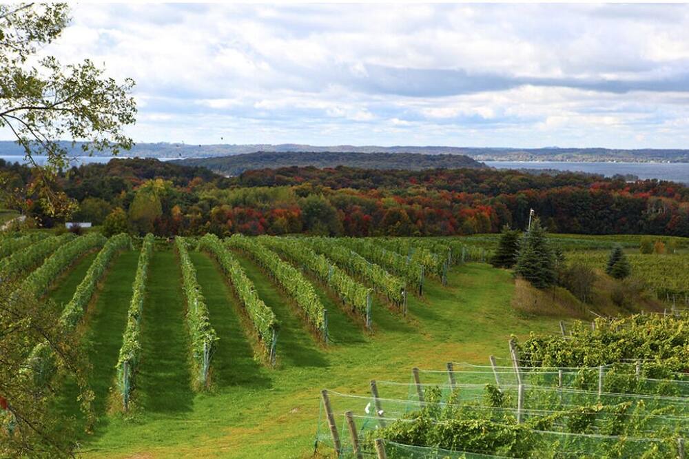Photo of Outdoor in Niles