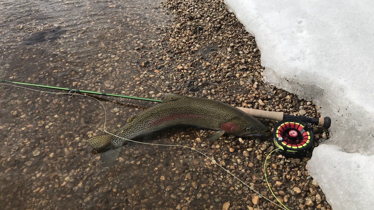 Photo of Others in New Meadows