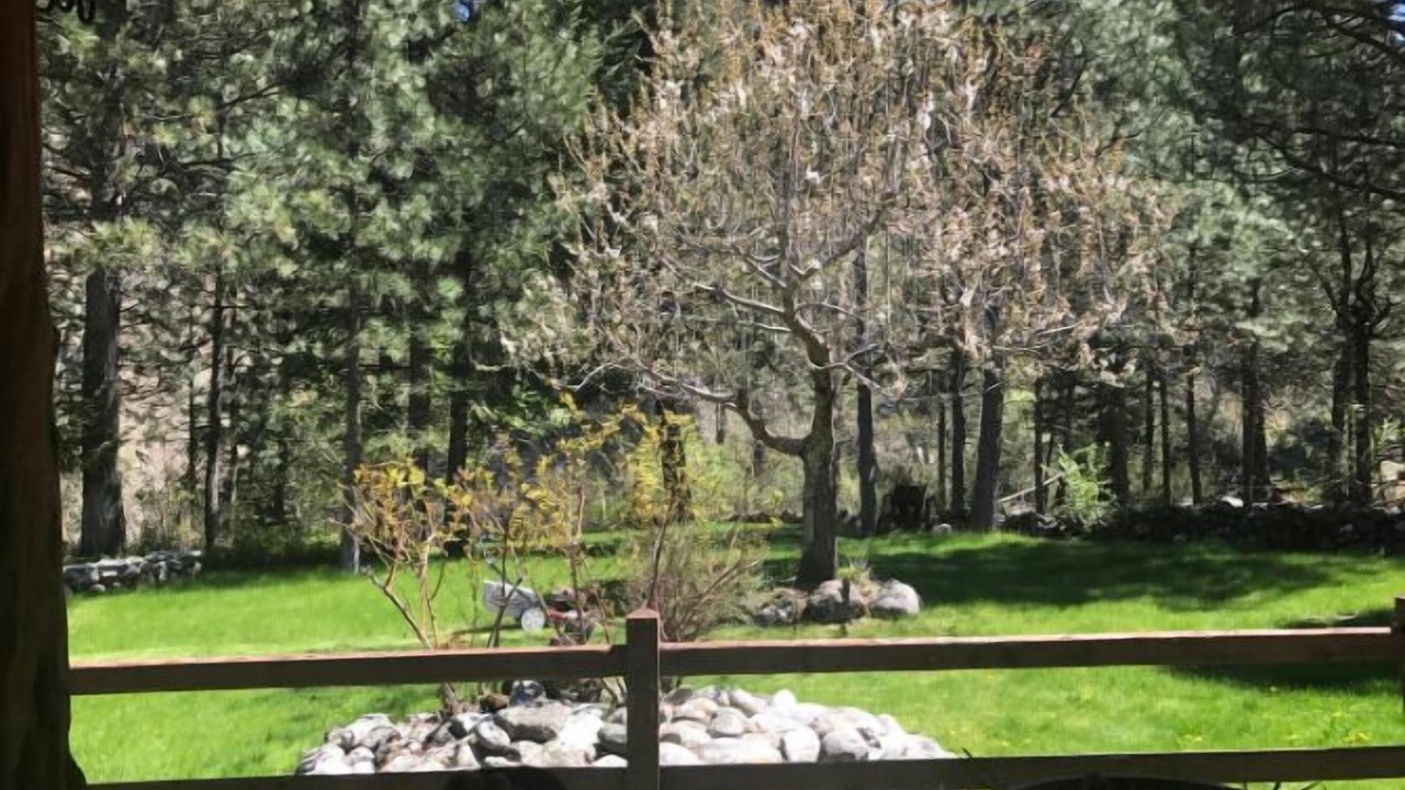 Photo of Outdoor in New Meadows