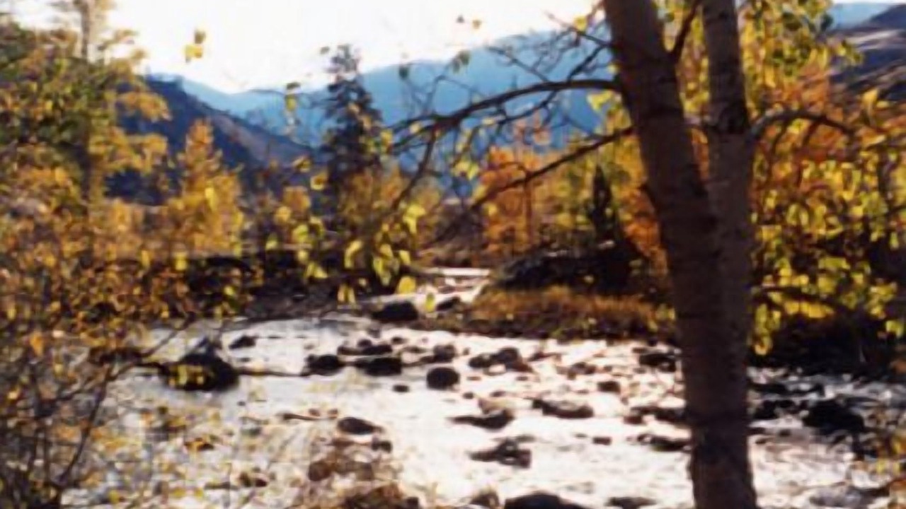 Photo of Others in New Meadows