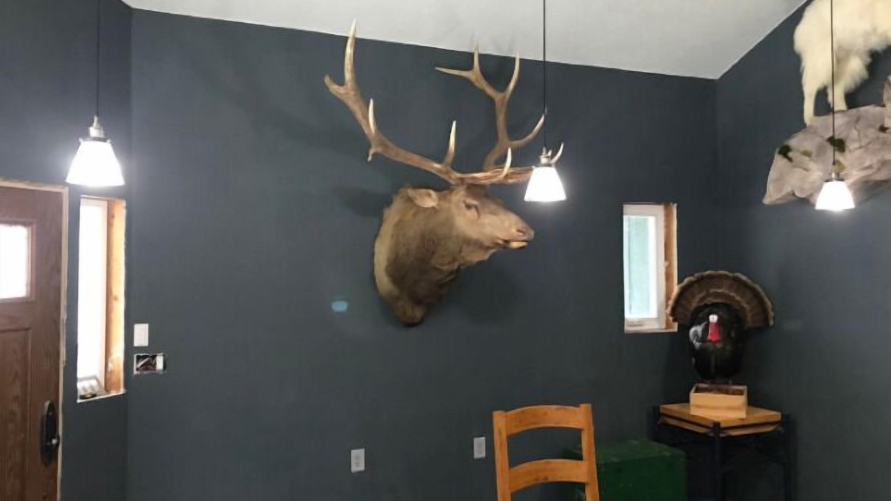 Photo of Others in New Meadows