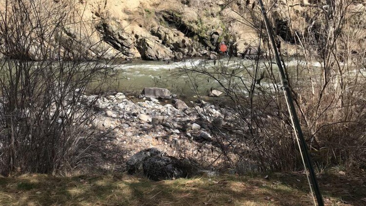 Photo of Others in New Meadows