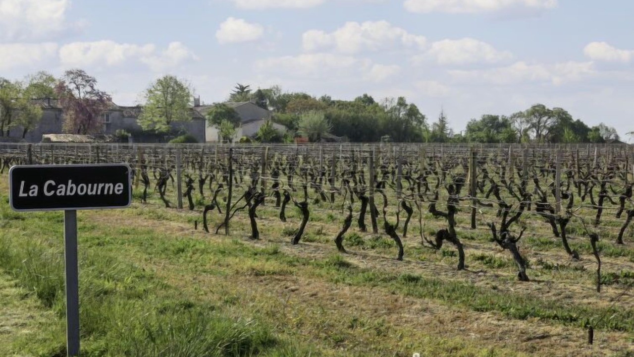 Photo of Outdoor in Aumagne