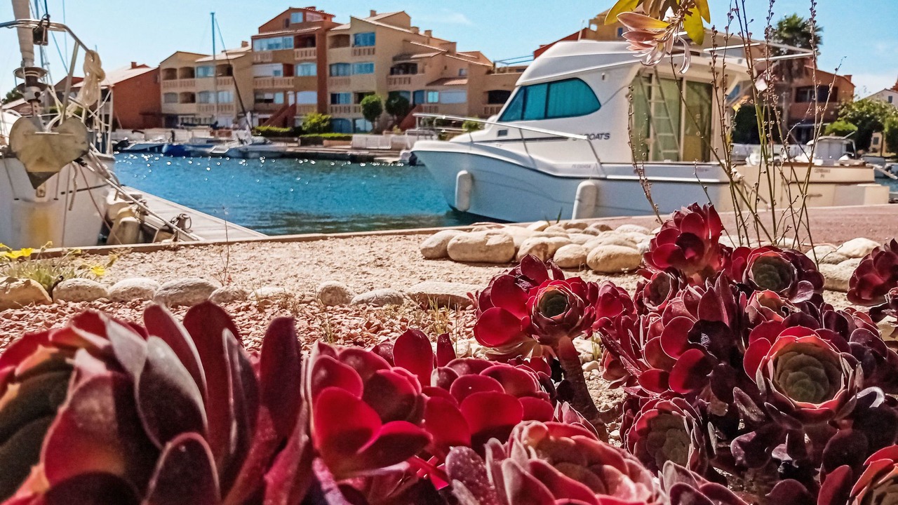 Photo of Outdoor in Le Barcares