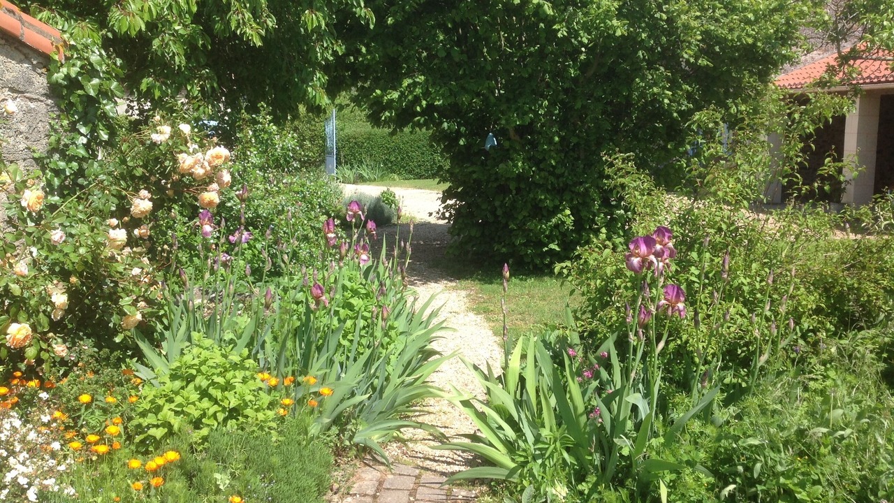 Photo of Outdoor in Cersay