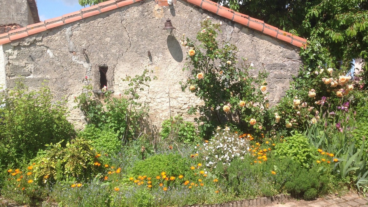 Photo of Outdoor in Cersay
