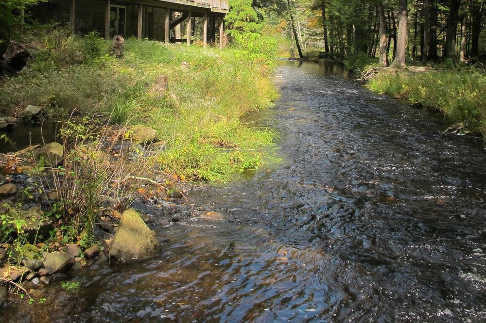 Photo of Others in Bearsville
