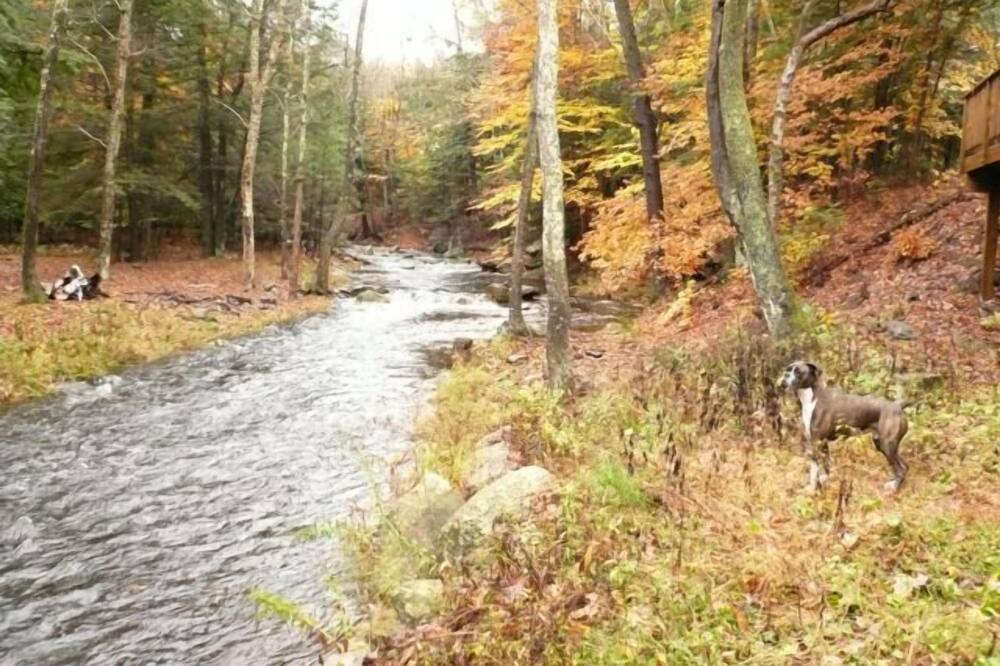 Photo of Others in Bearsville