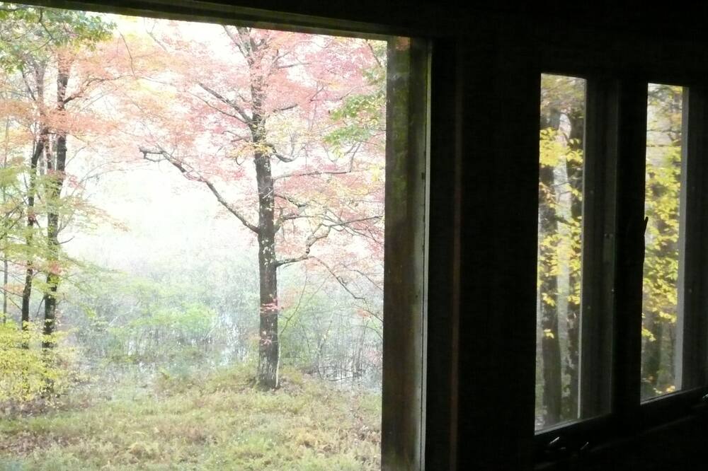 Photo of Others in Bearsville