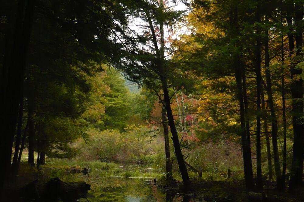 Photo of Others in Bearsville
