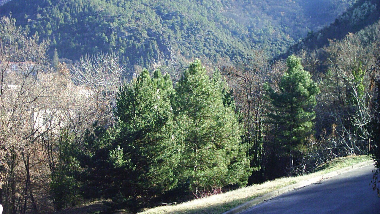 Photo of Outdoor in Vernet-les-Bains