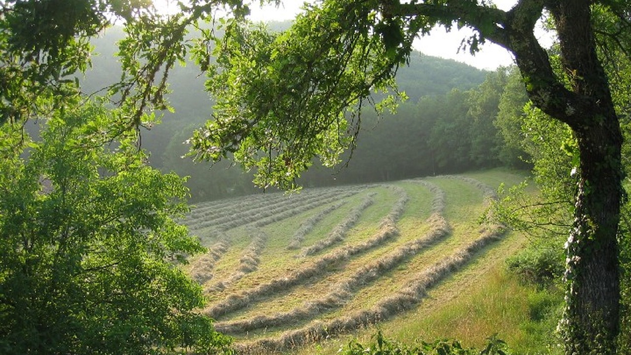 Photo of Outdoor in Vitrac