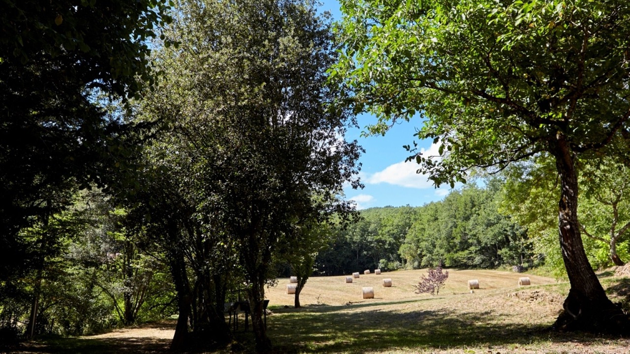 Photo of Outdoor in Vitrac