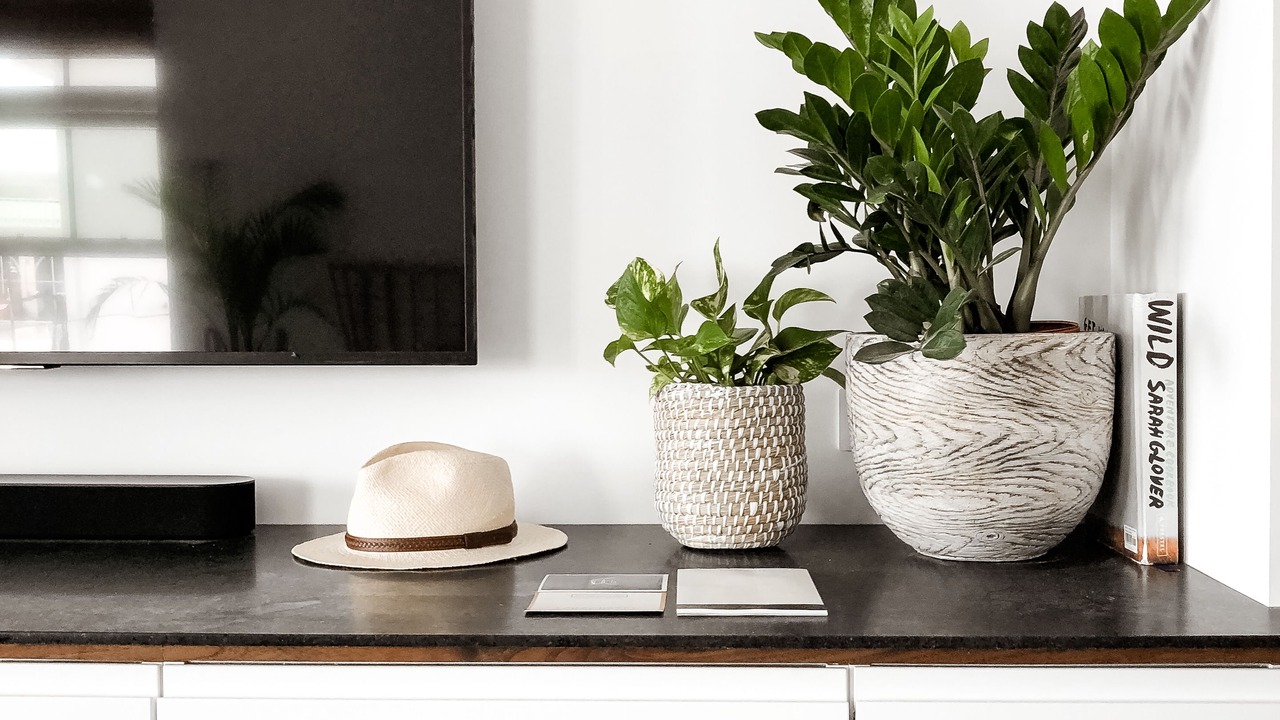 Photo of Others in Cape May