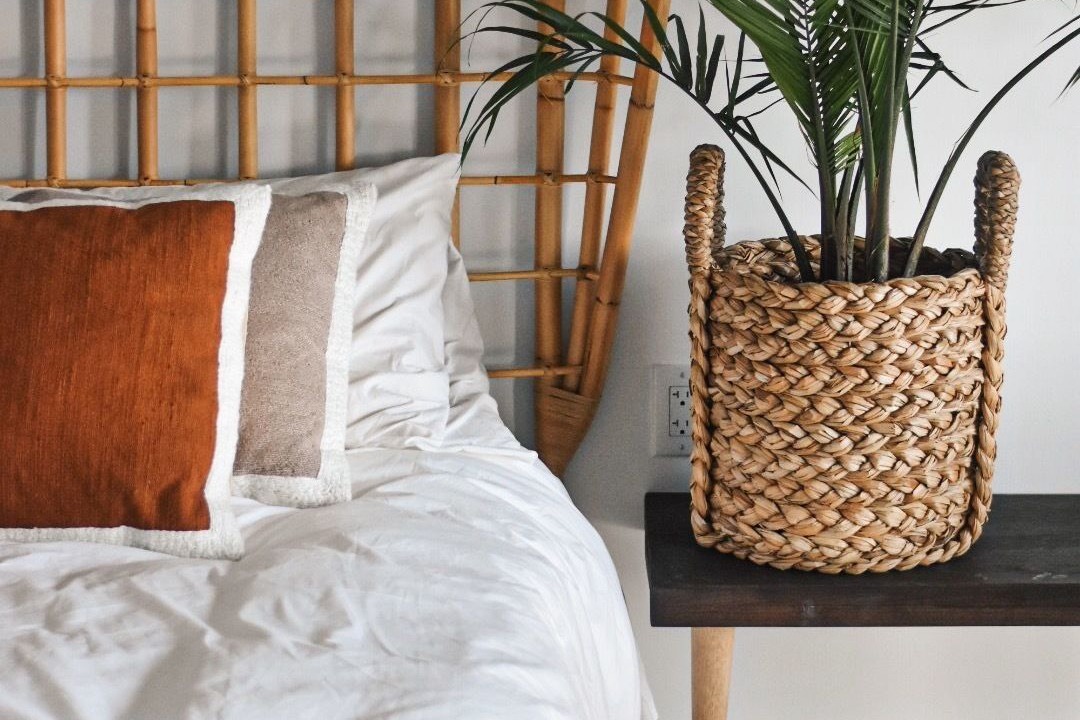 Photo of Others in Cape May