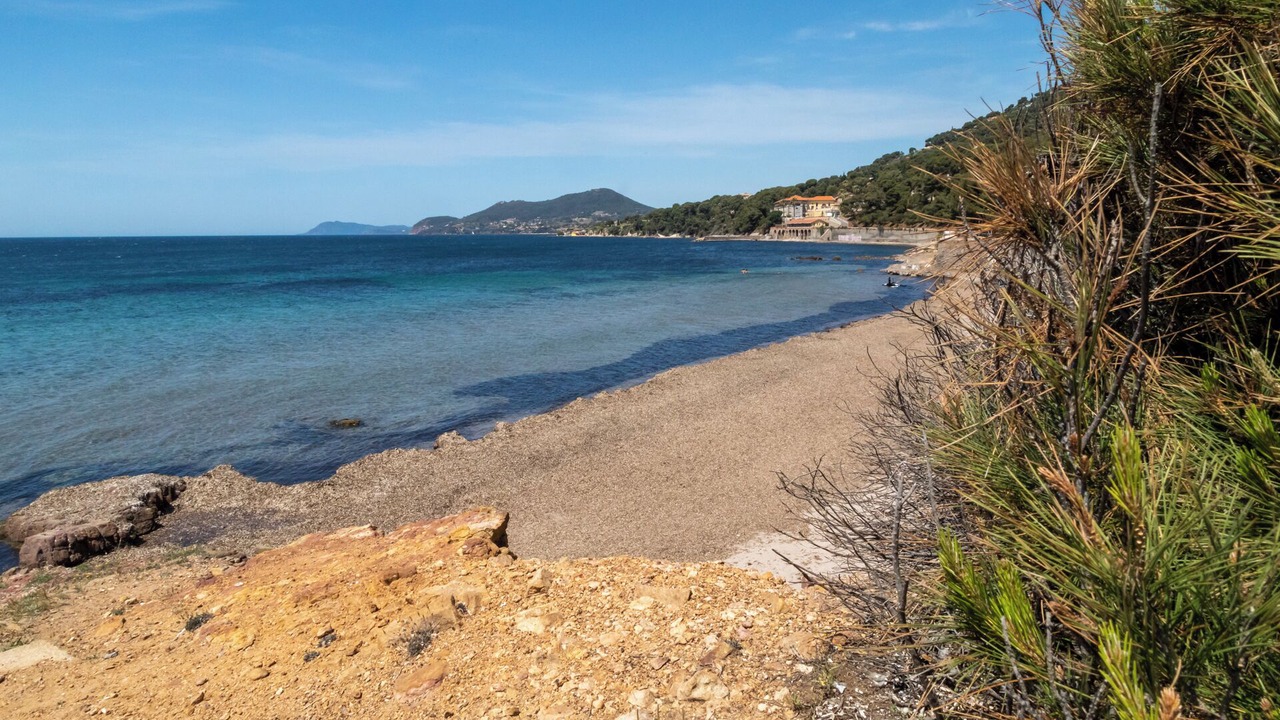 Photo of Others in Hyeres