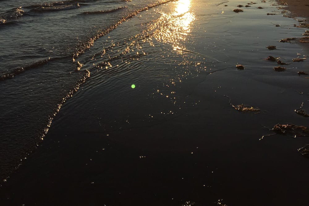 Photo of Others in Chelton