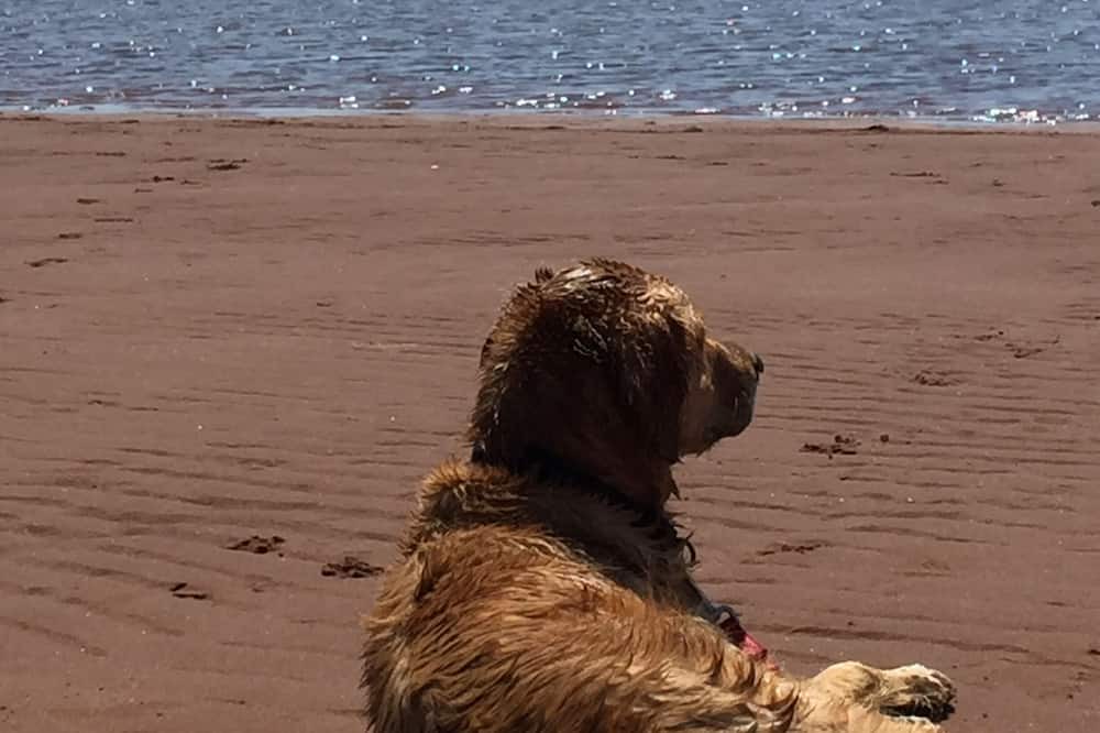 Photo of Others in Chelton