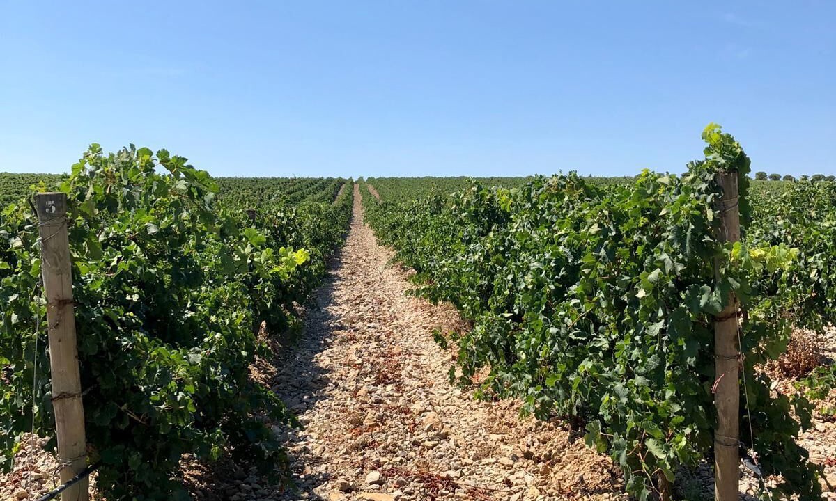 Photo of Others in Raissac-d'Aude
