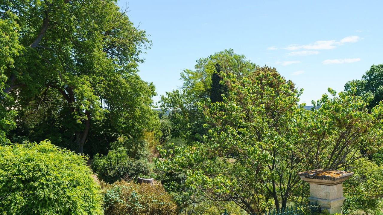 Photo of Others in Raissac-d'Aude