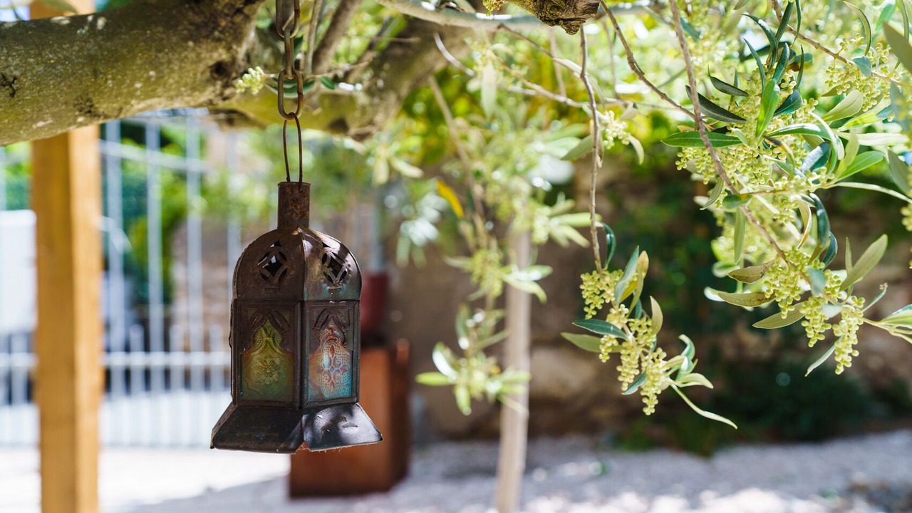 Photo of Outdoor in Raissac-d'Aude