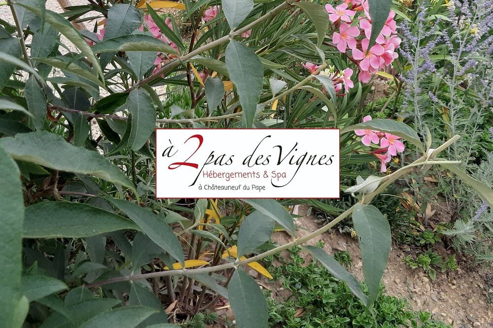 Photo of Outdoor in Chateauneuf-du-Pape
