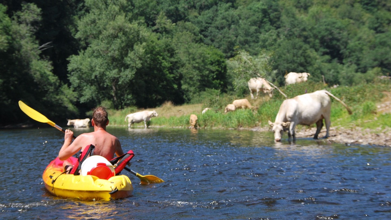 Photo of Others in Bellenaves