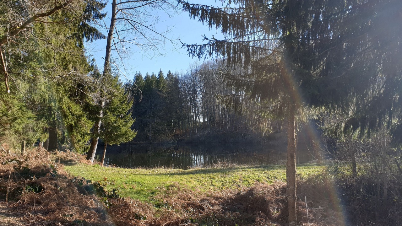 Photo of Outdoor in Bellenaves