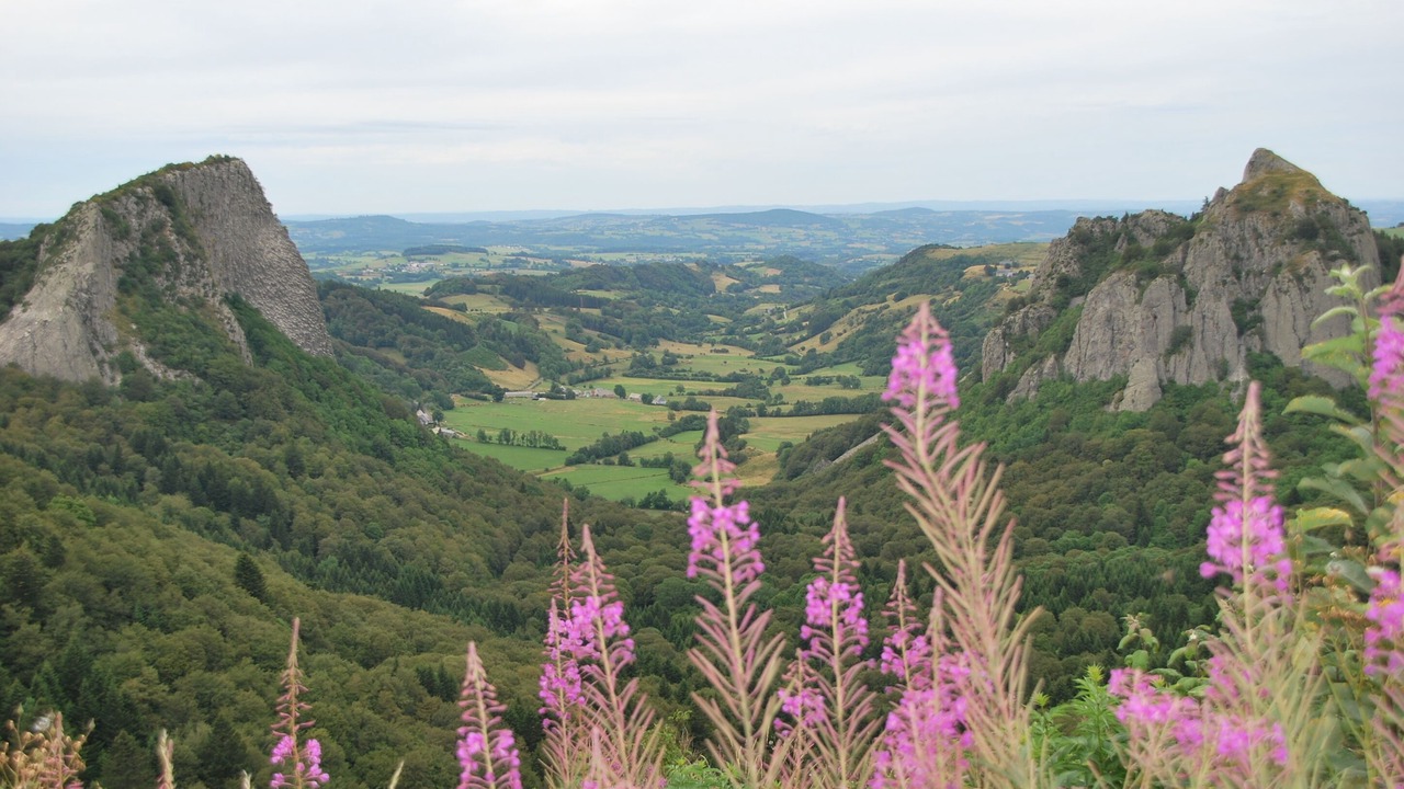 Photo of Others in Bellenaves