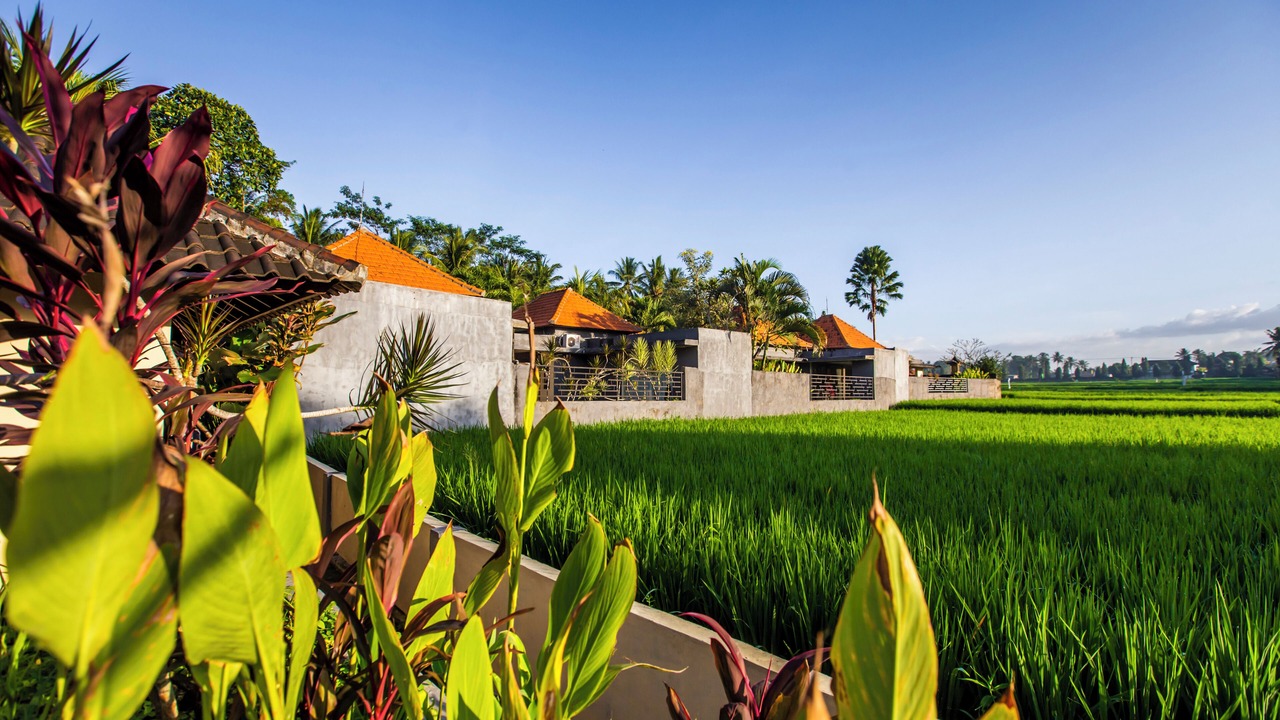 Photo of Outdoor in Lodtunduh