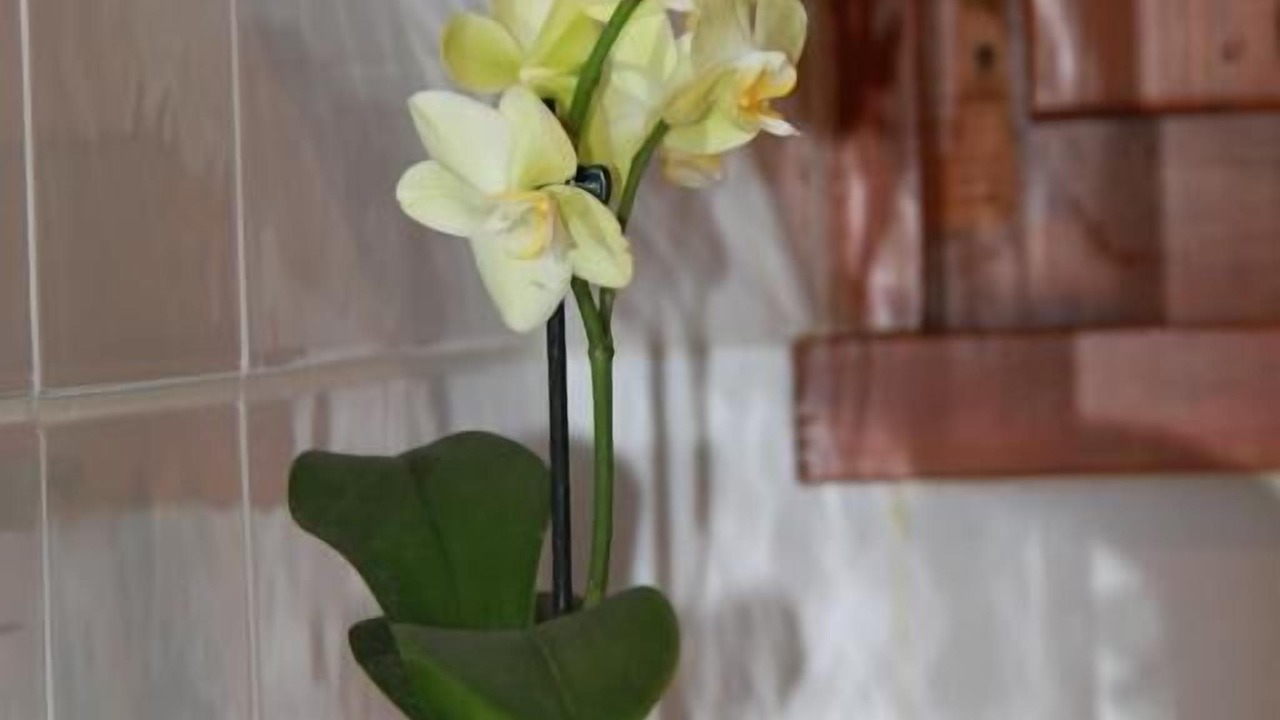 Photo of Others in Yvoire