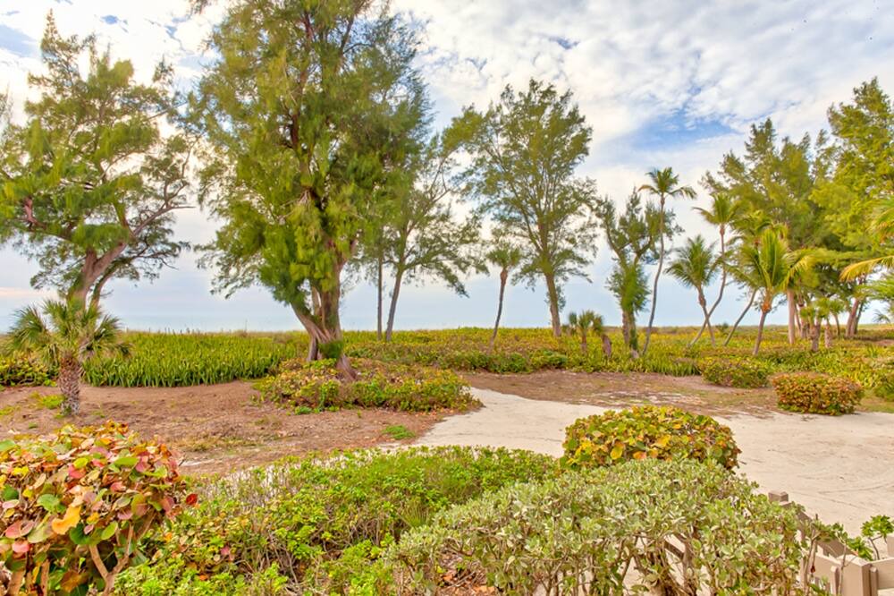 Photo of Outdoor in Captiva