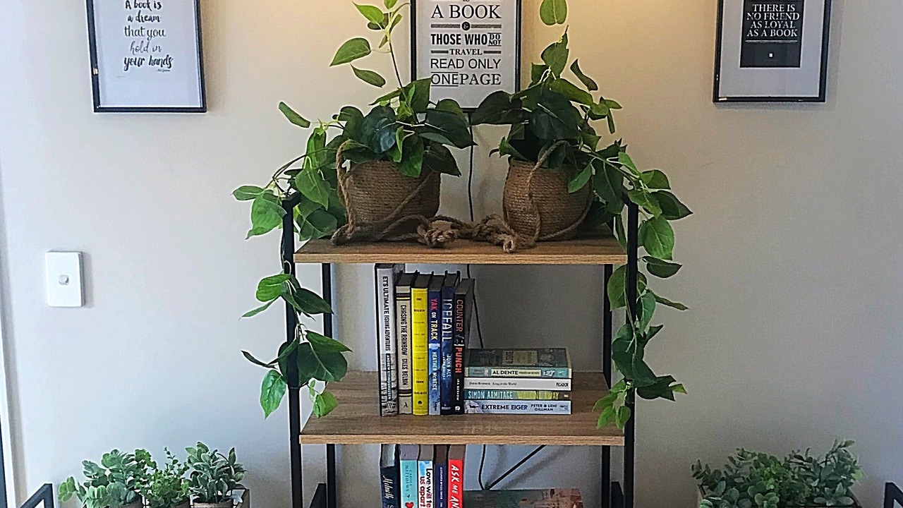 Photo of Others in Flat Bush