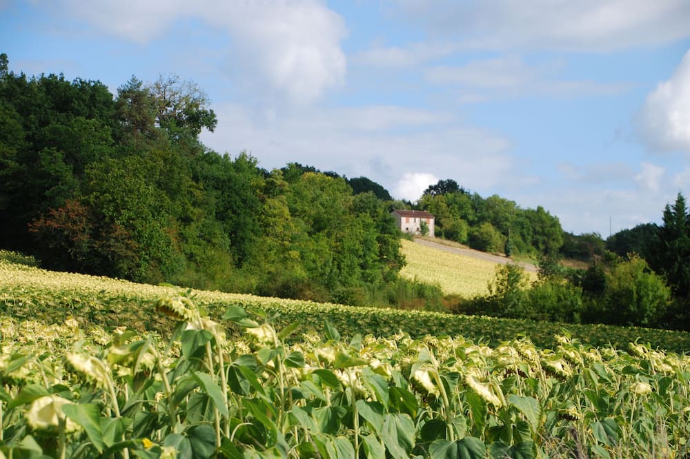 Photo of Others in Saint-Martin-de-Riberac