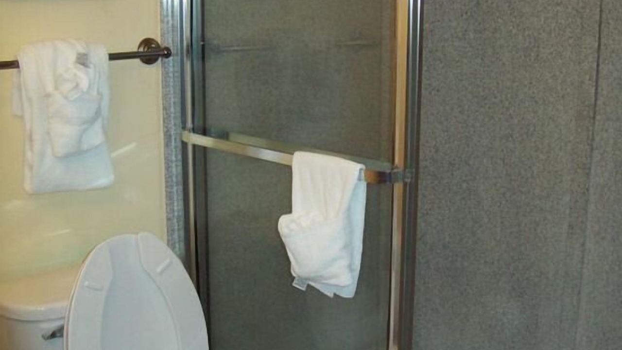 Photo of Others in Windsor Forest