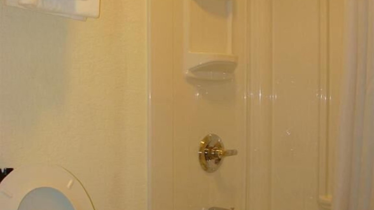 Photo of Others in Windsor Forest