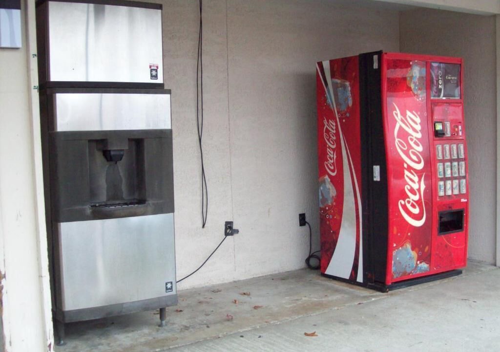 Photo of Others in Windsor Forest