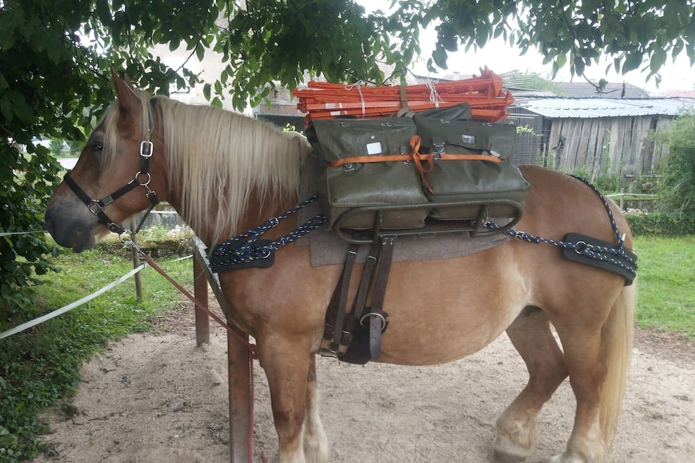 Photo of Outdoor in Anjeux