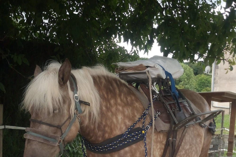 Photo of Outdoor in Anjeux