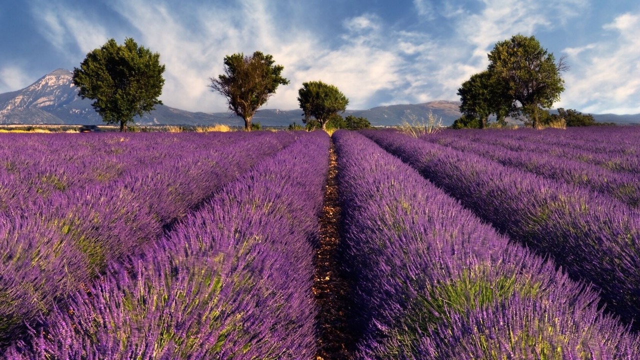 Photo of Outdoor in Remuzat